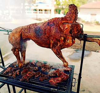 Kambing Golek